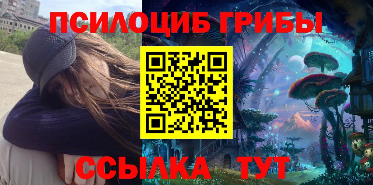 Галлюциногенные грибы MAGIC MUSHROOMS  Вход с VPN  Чернушка 